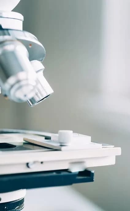 Patrones histológicos dermatopatología